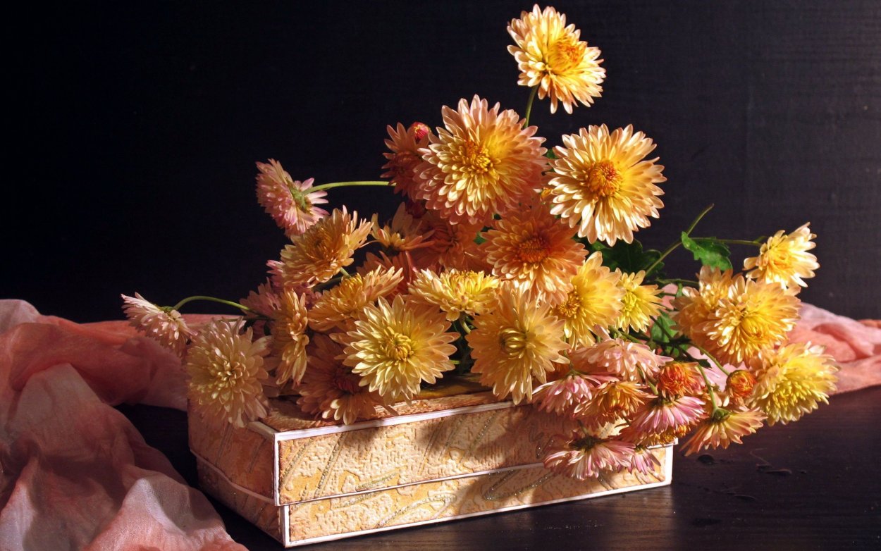 Хризантемы желтые Храпковой Светланы