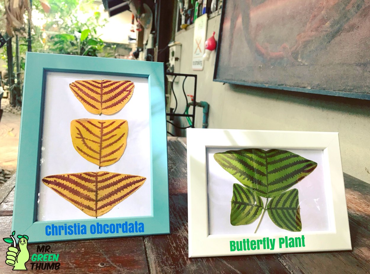 Эстетика Инстаграм