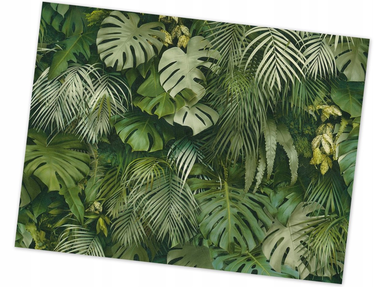 Тропические листья в джунглях