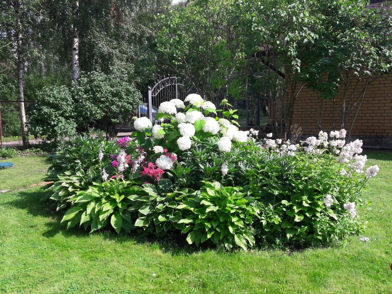 Миксборд гортензия пион