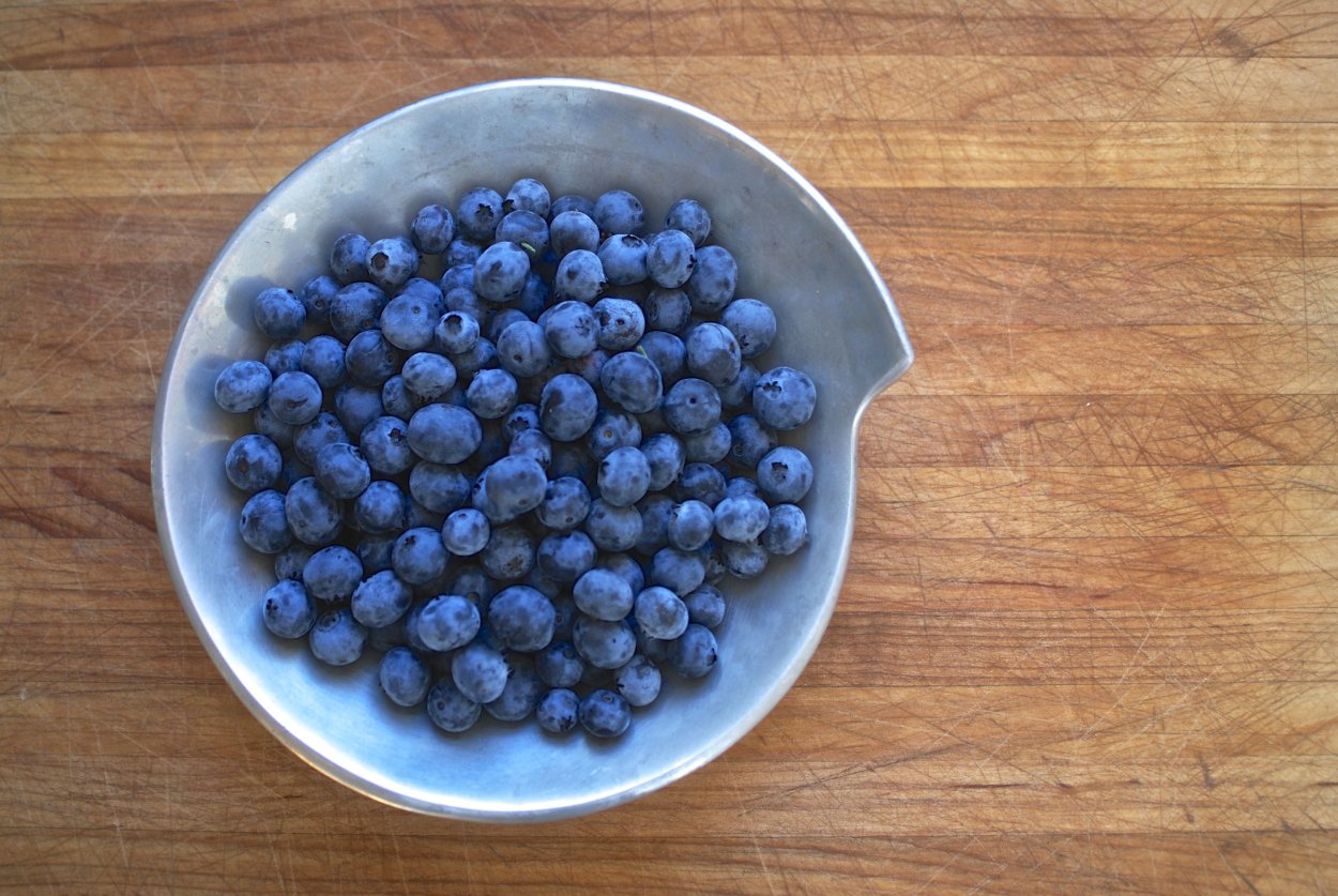 Голубика на Кольском полуострове