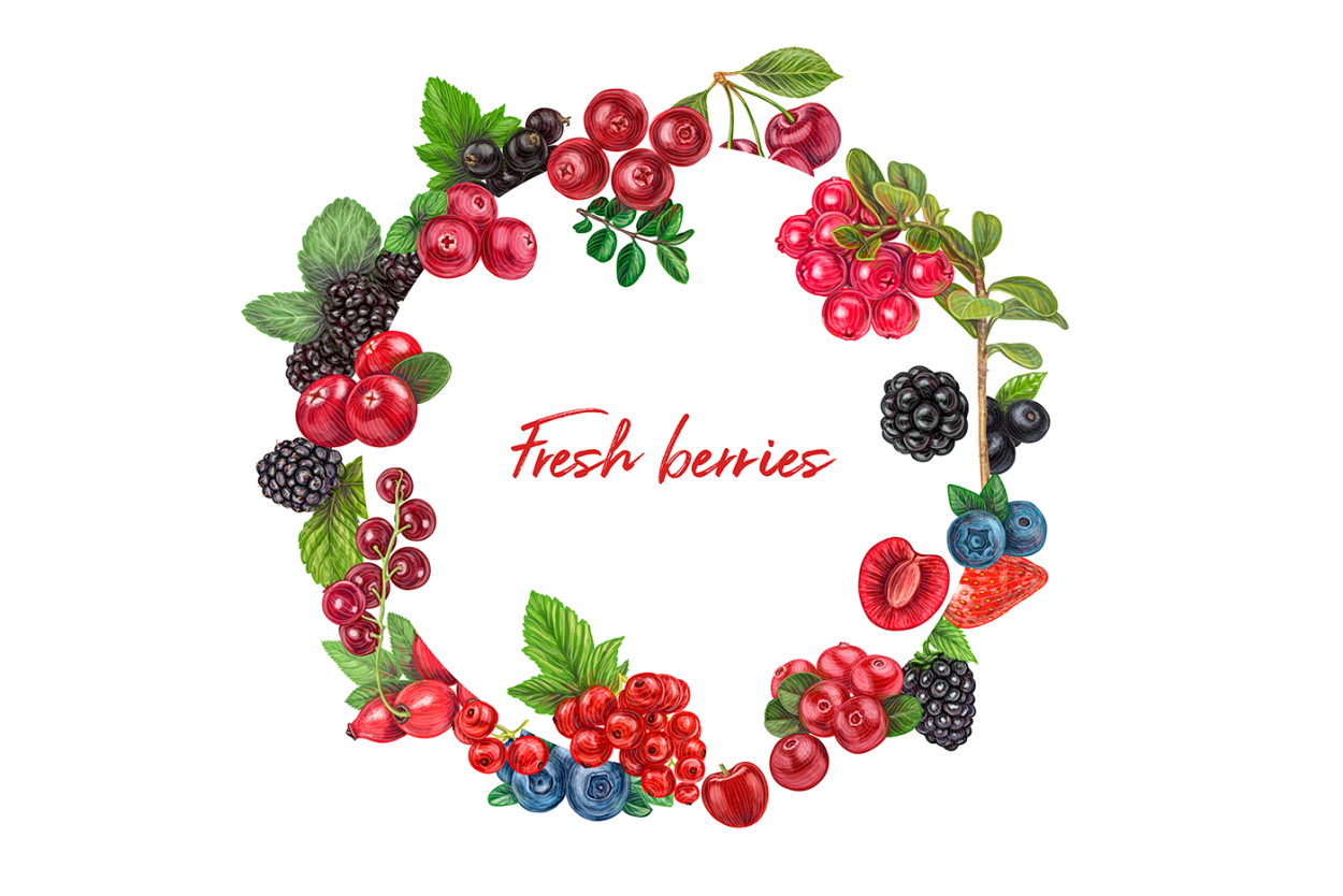 Барбарис продолговатый Berberis oblonga