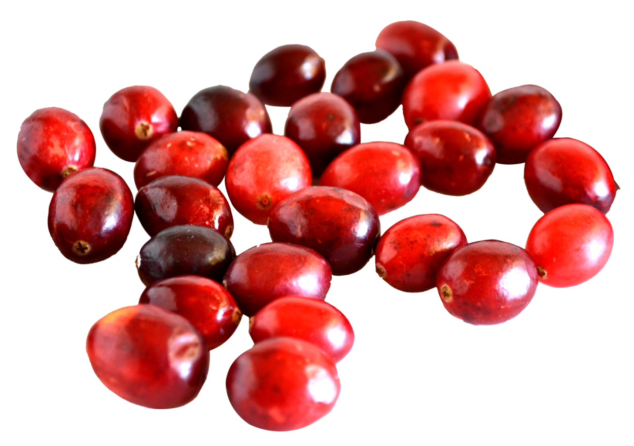 Ягодные кустарники для детей