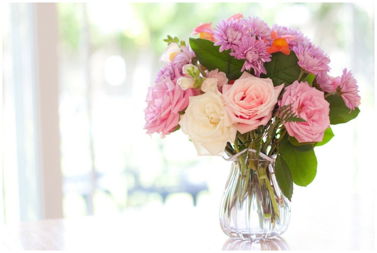 Екатерина Звержанская цветы