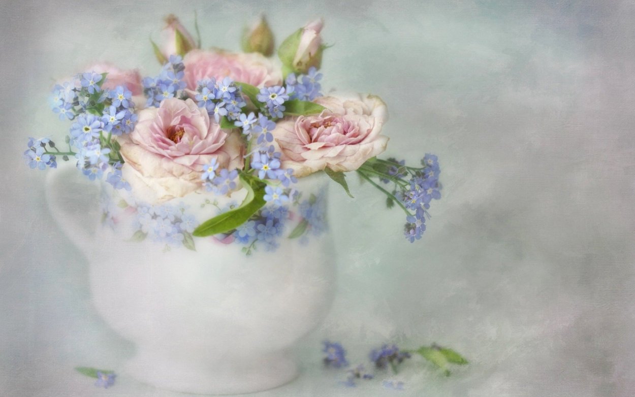 Нежный цветок