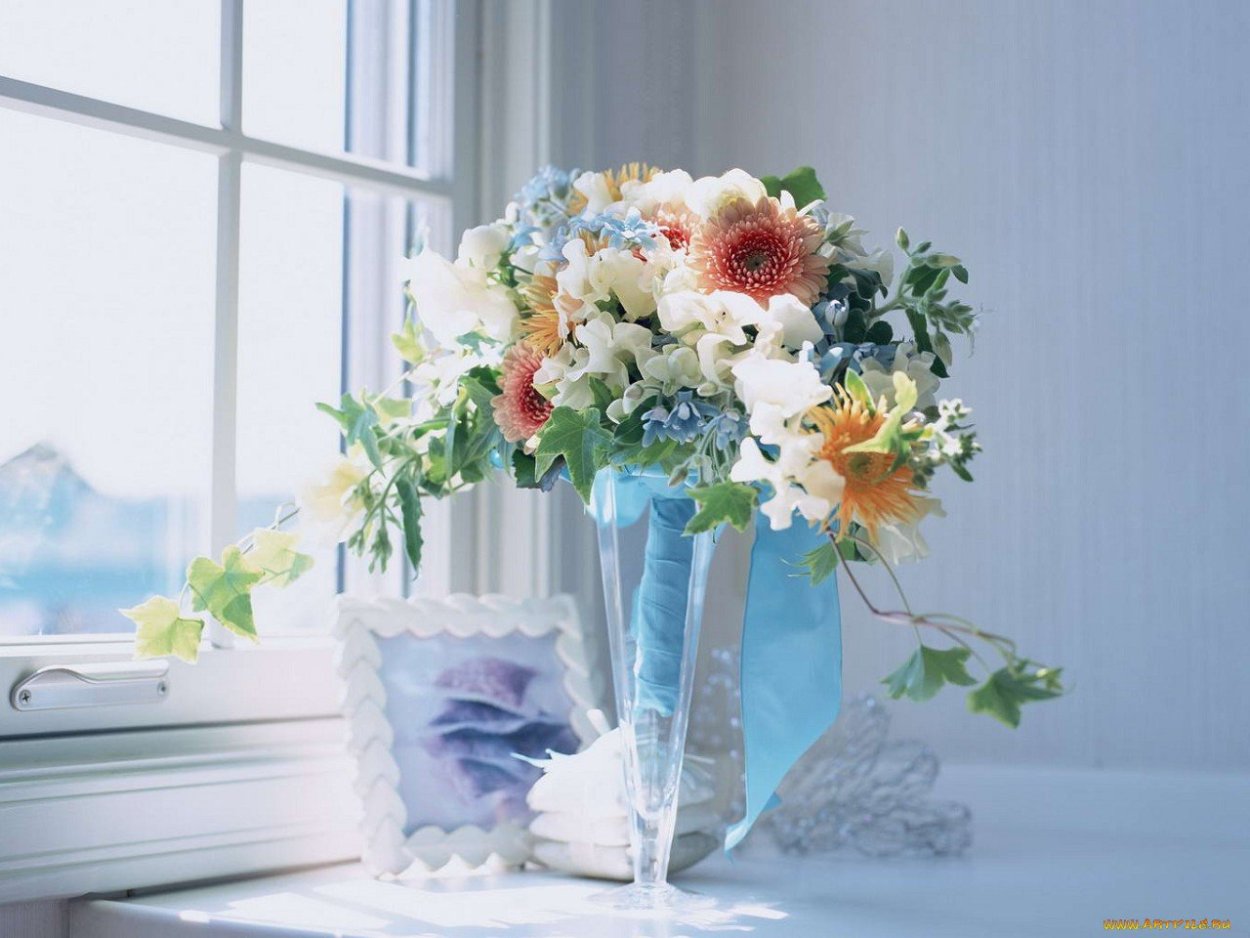 Пионовидная роза Пиони Пинк