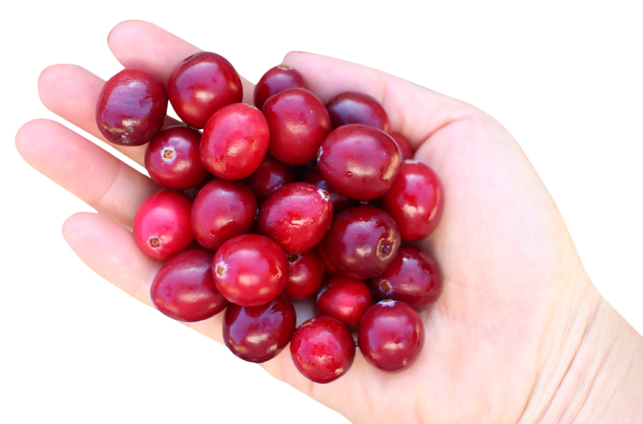 Ягода красная с кислинкой