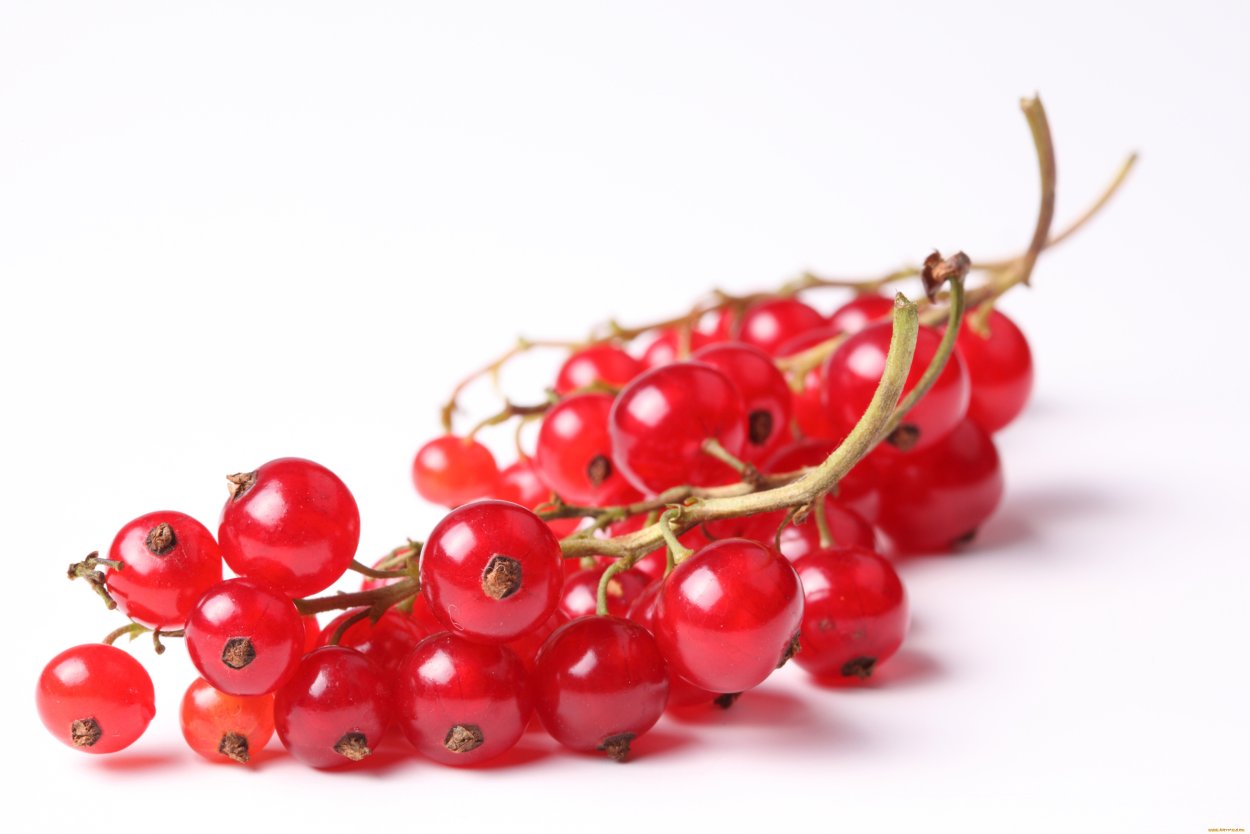 Ягоды красной смородины