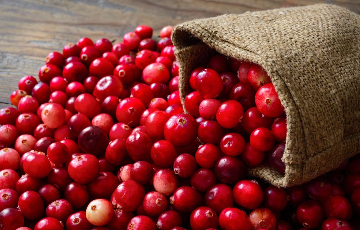 Cranberries ягода