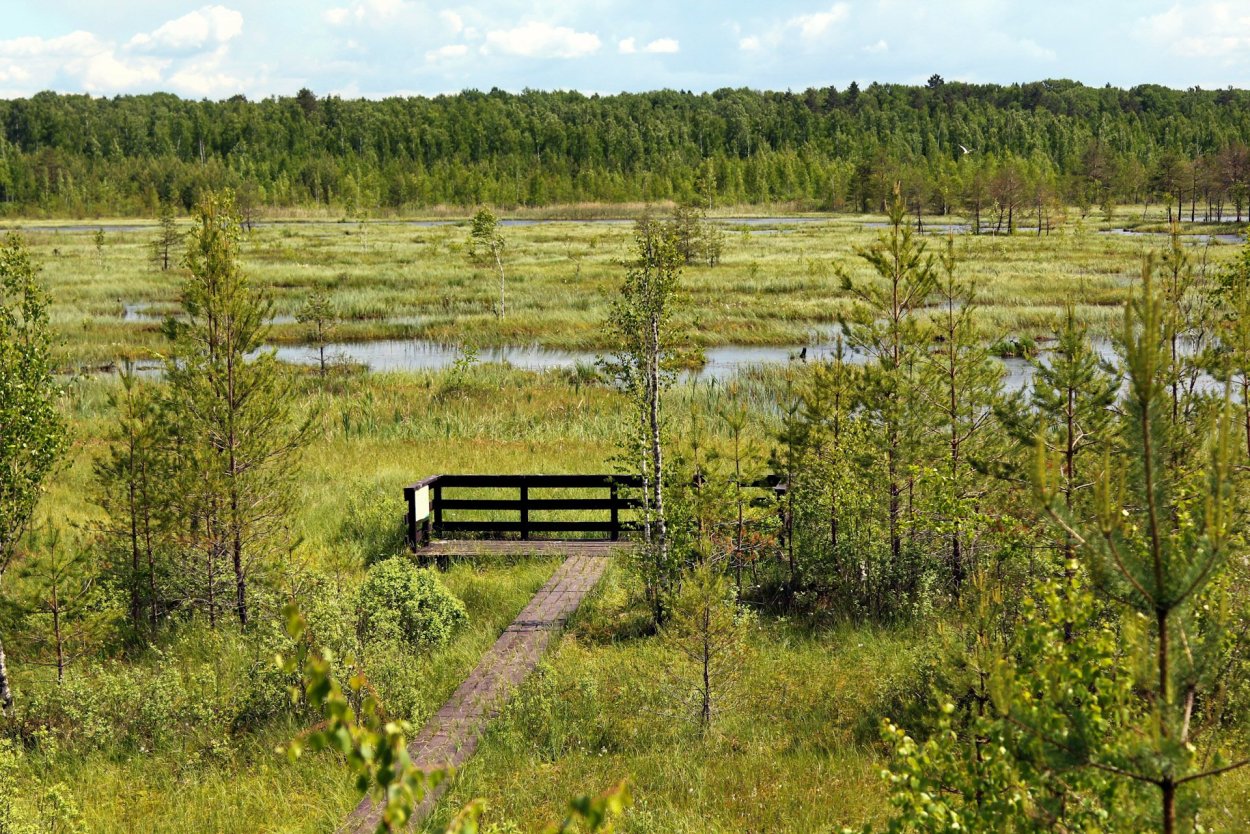 Национальный парк Угра болото