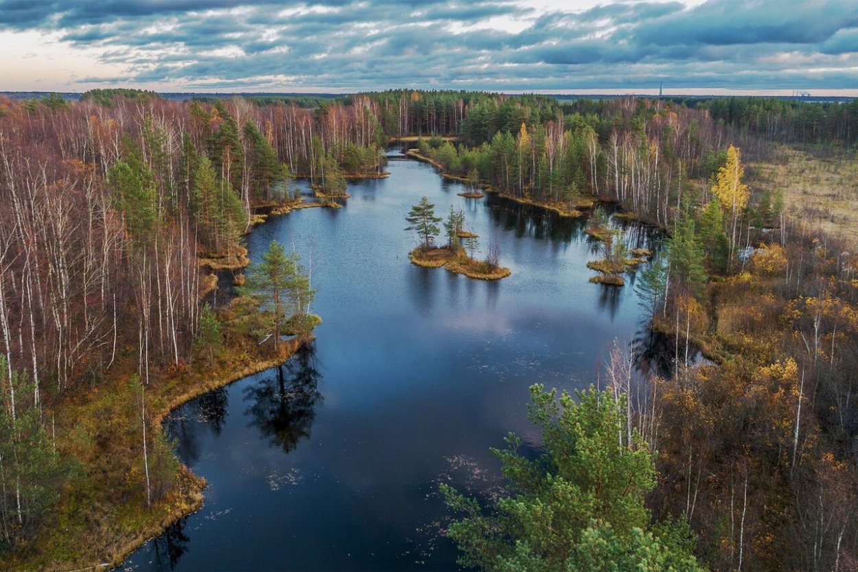 Заповедник Сестрорецкое болото