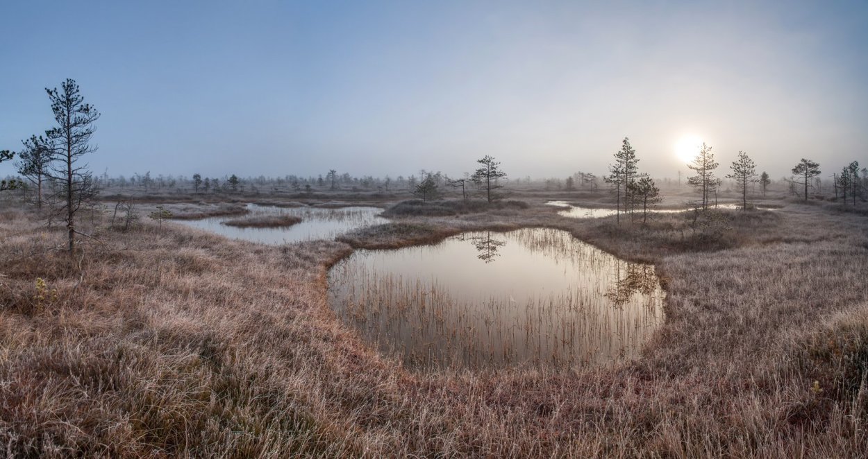 Заказник Глебовское болото