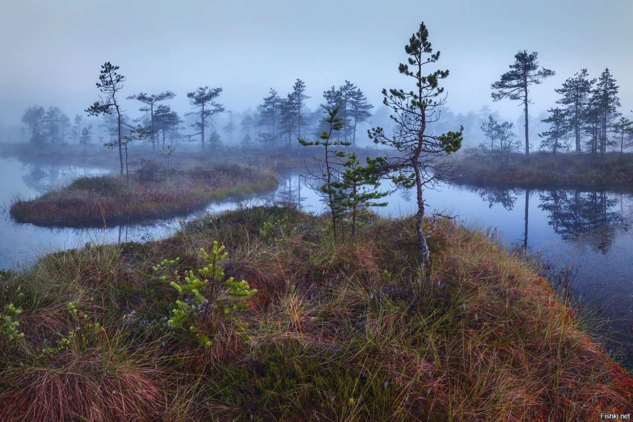 Карельский перешеек.