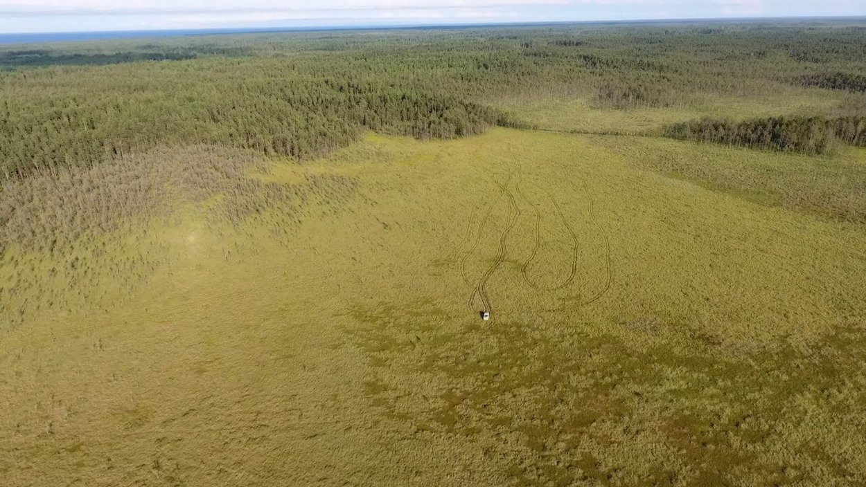 Сокилов болото неодолимое