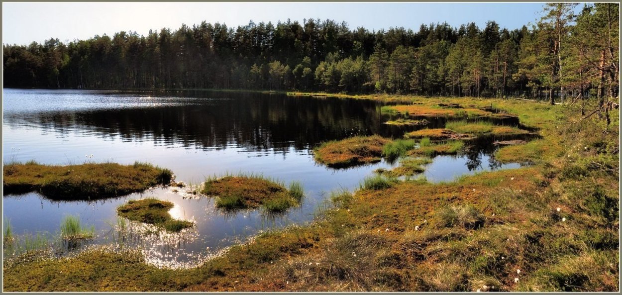 Дарвинский заповедник торфяные острова