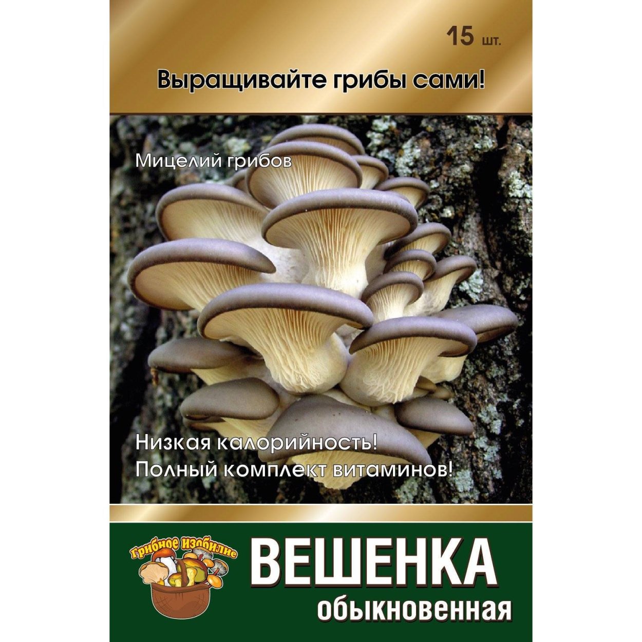 Мицелий вешенка обыкновенная