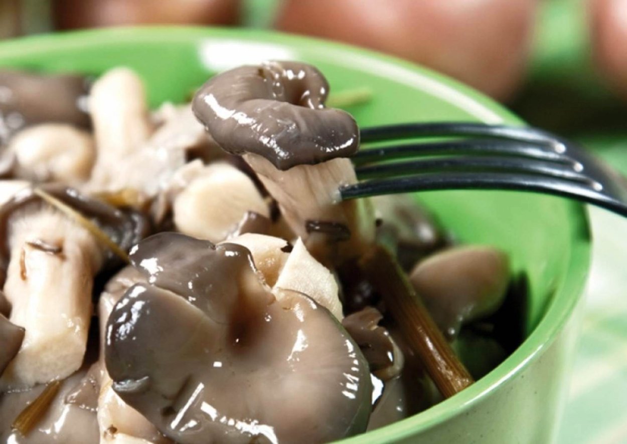 Грибы Маринов вешенки