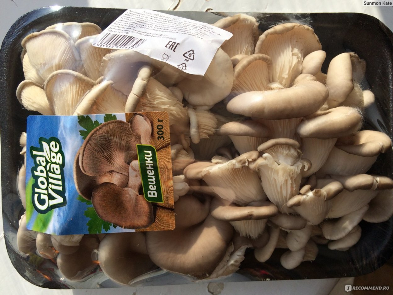 Вешенки Глобал Вилладж