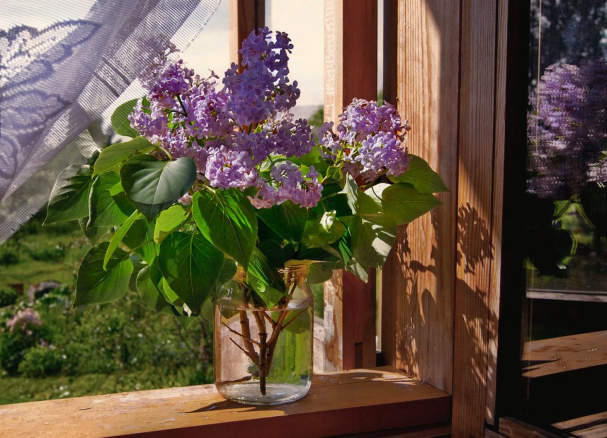Сирень у дома