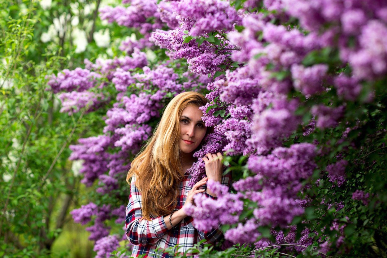 Девушка в кустах сирени