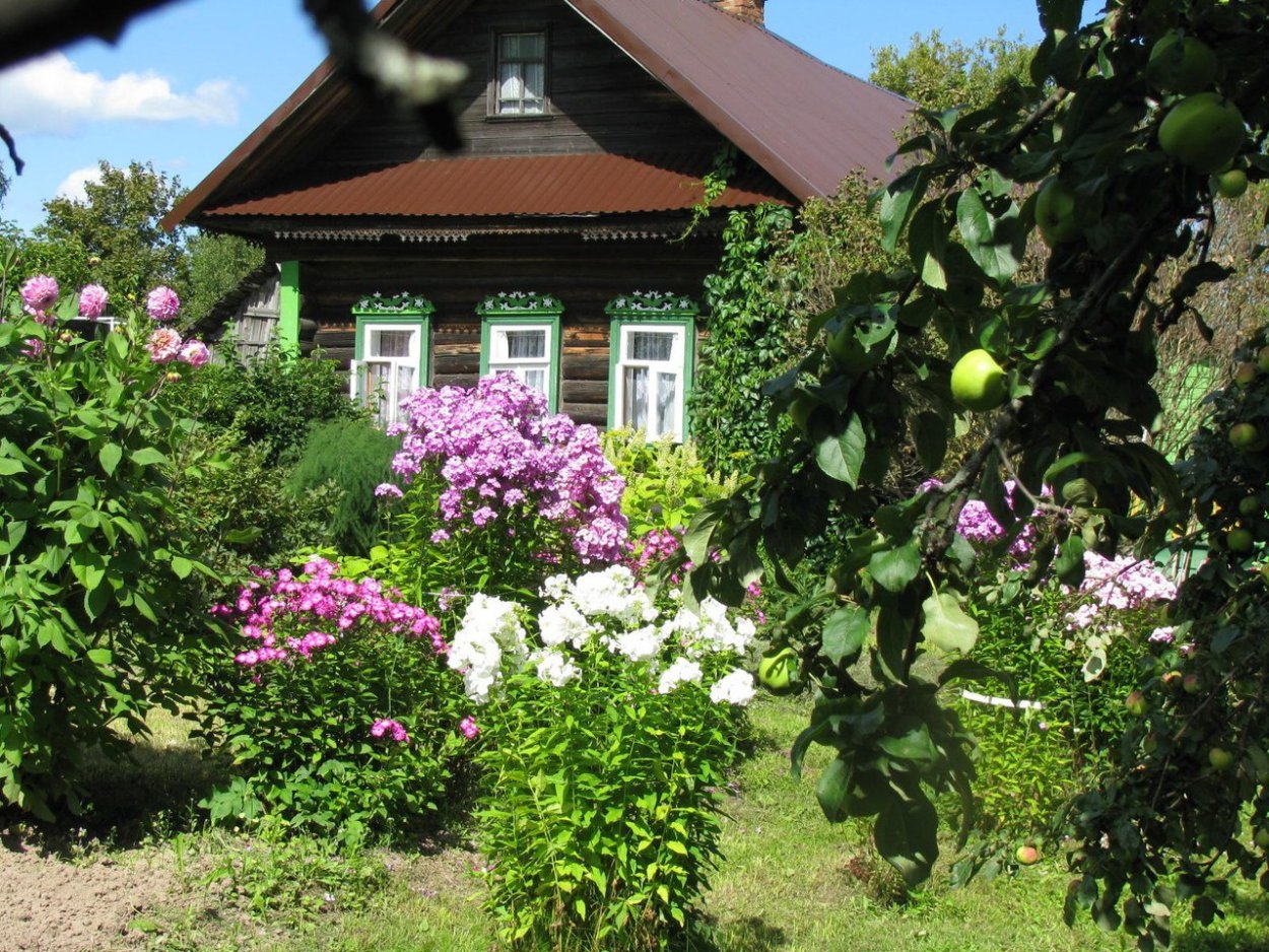 Сад в деревне