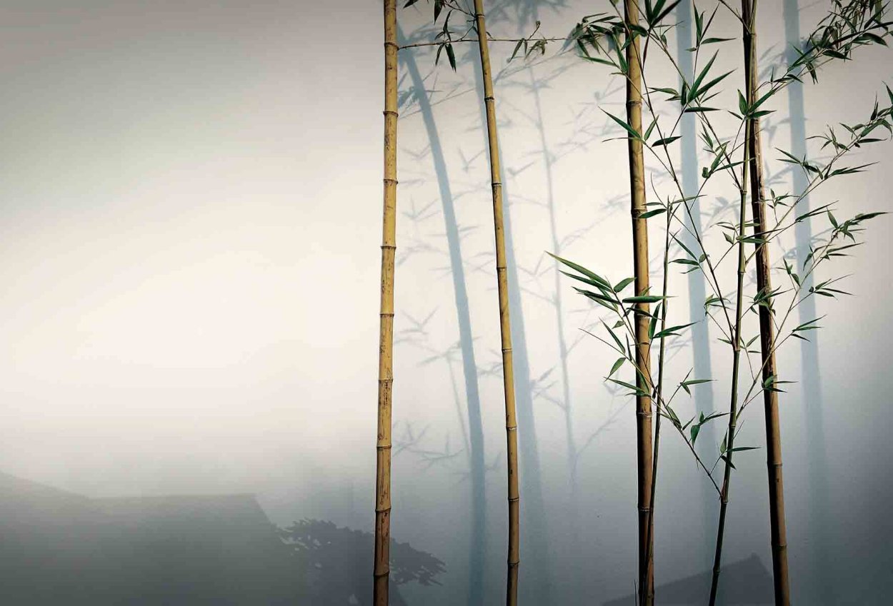 Искусство древнего Китая живопись бамбук