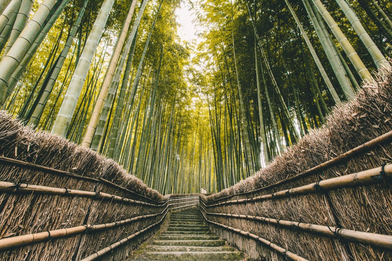 Бамбуковый мост через реку мин в Китае