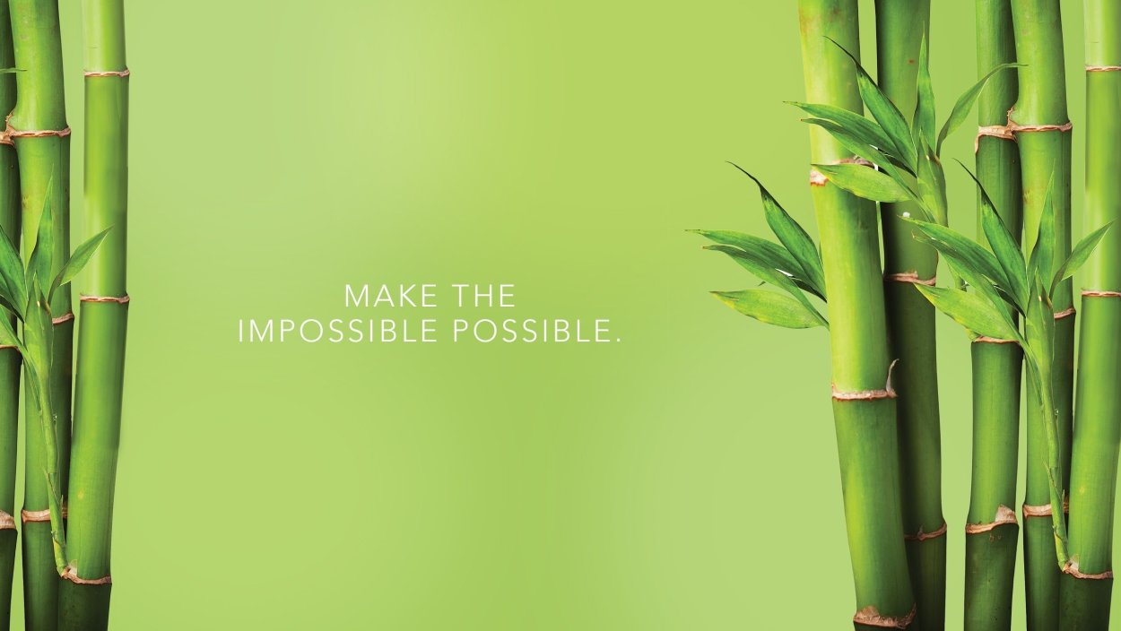 Колено бамбука