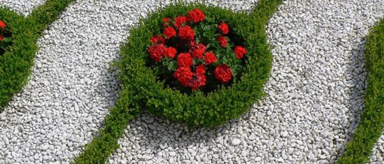 Клумба на колесиках