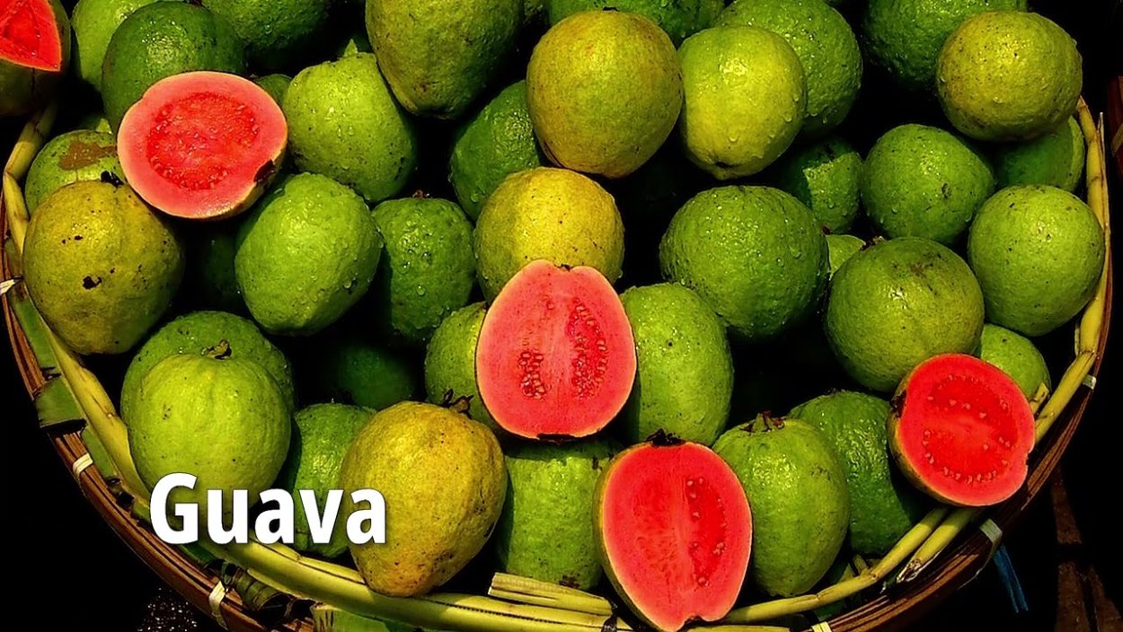 Нисперо мушмула