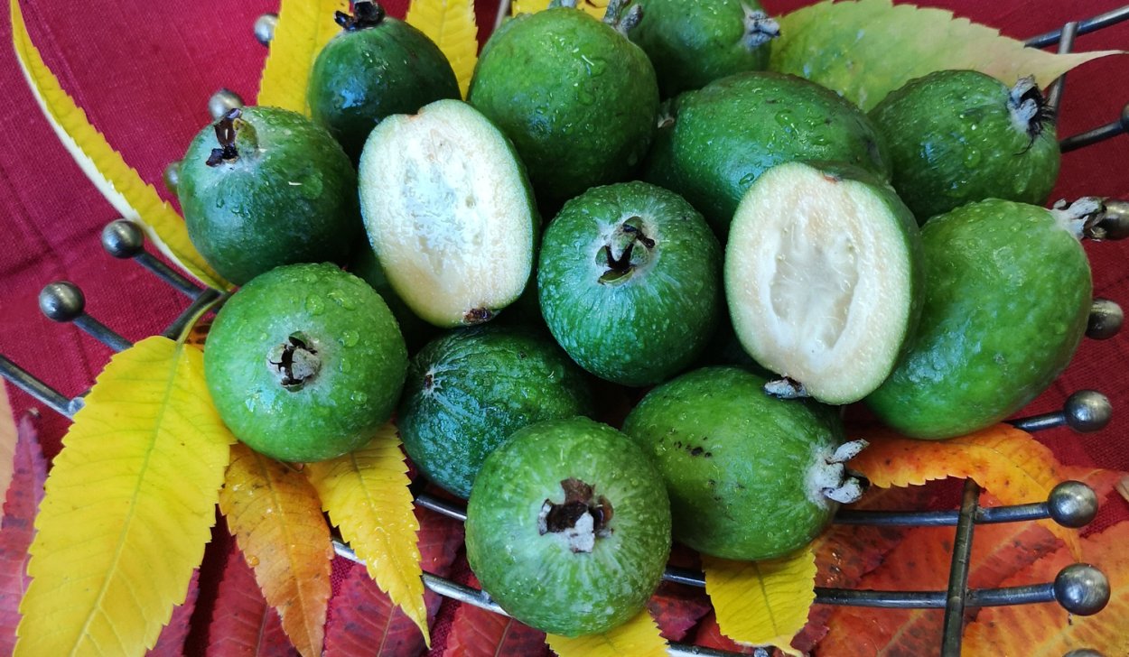 Маракуйя рамбутан