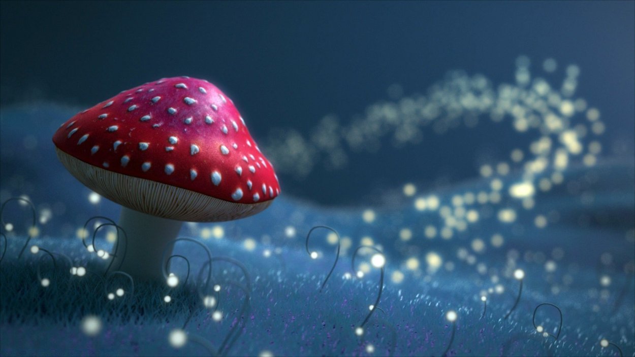 Волшебный мухомор