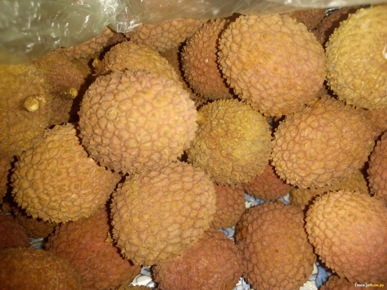 Китайская ягода личи