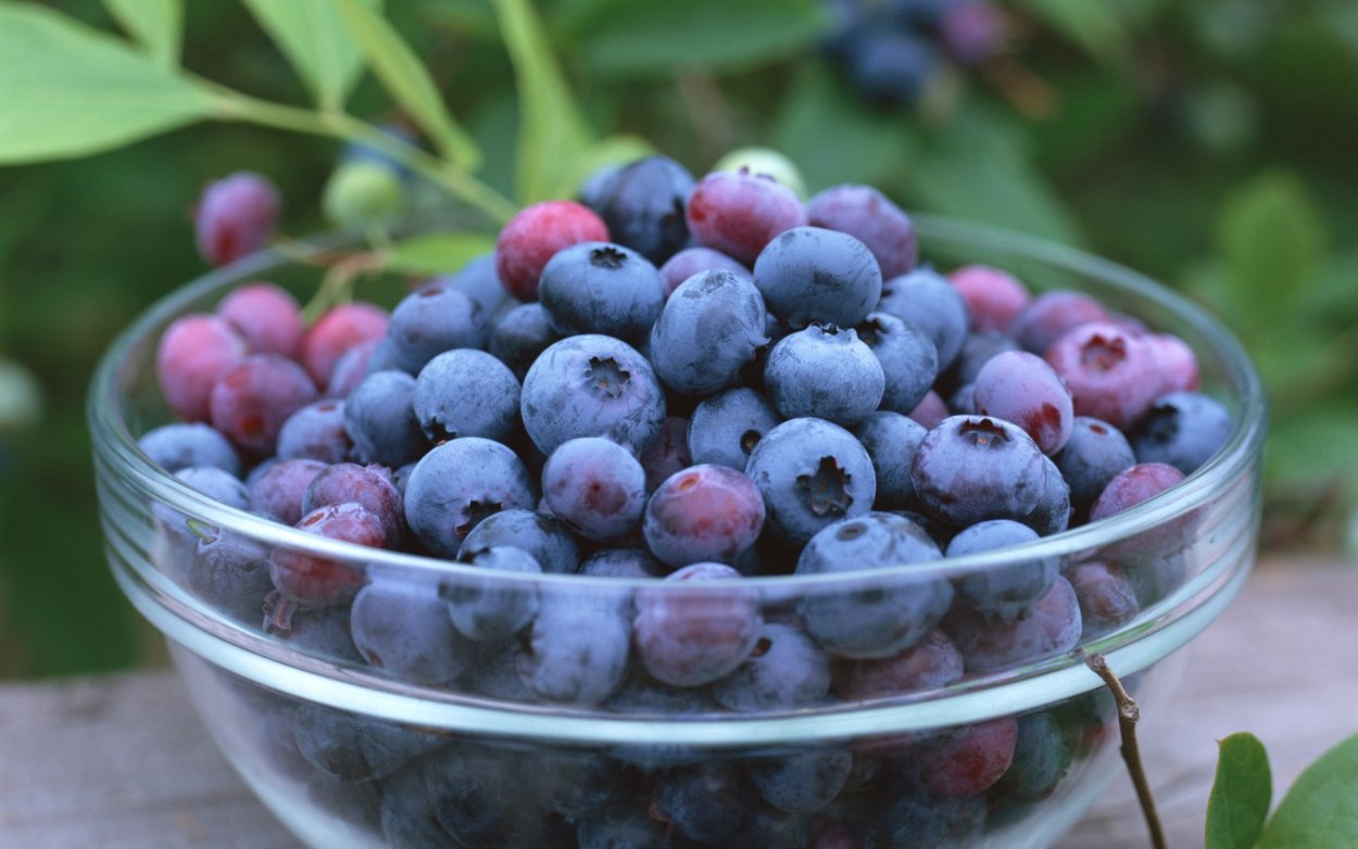 Лесные ягоды