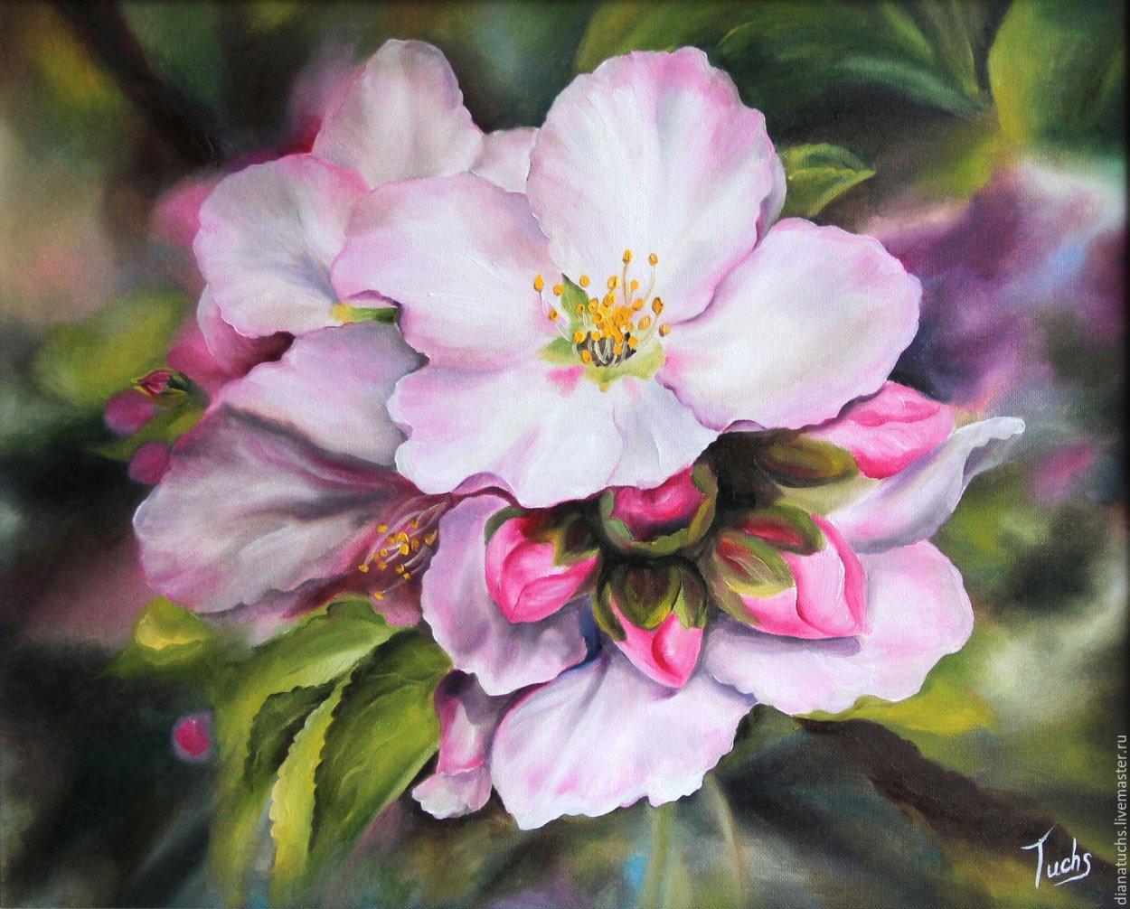 Диана ТУЧС картины