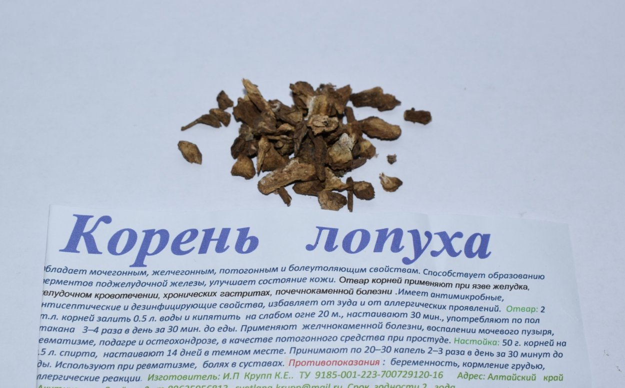 Лопух паутинистый