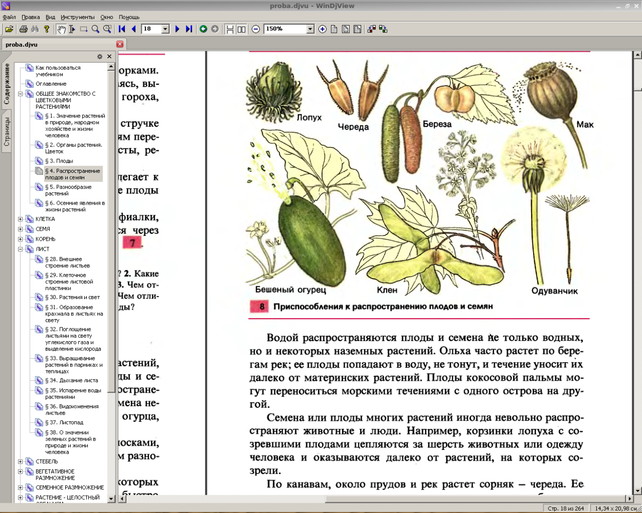 Корчагина. Ботаника 5-6