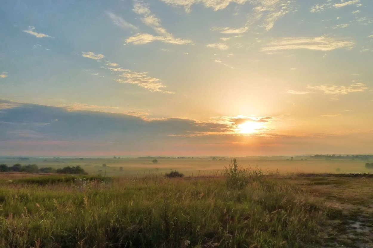 Лето в степи