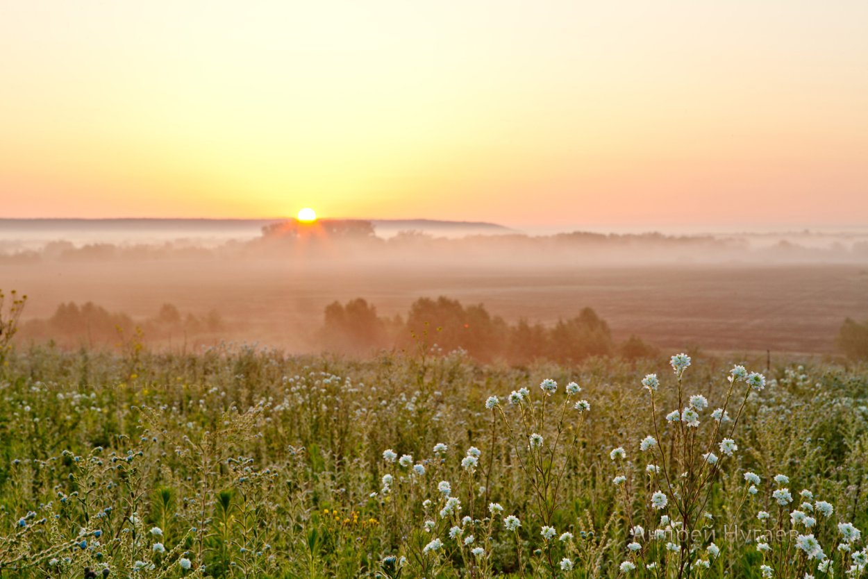 Вечернее небо в степи