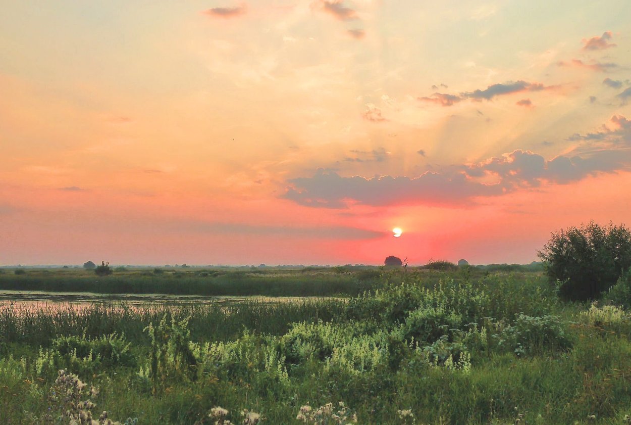 Летний закат в деревне