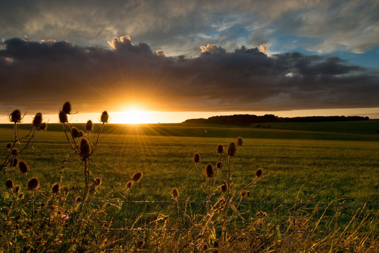Равнина Горизонт