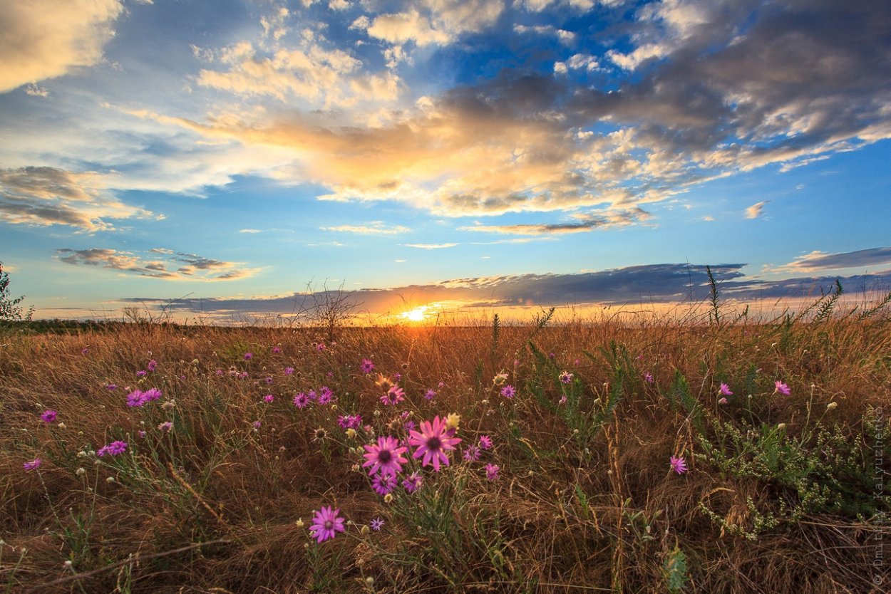 Саратовские степи
