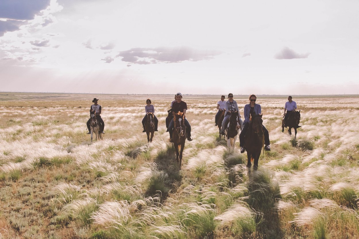 Всадник в степи