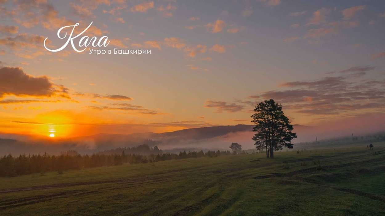 Рассвет в степи