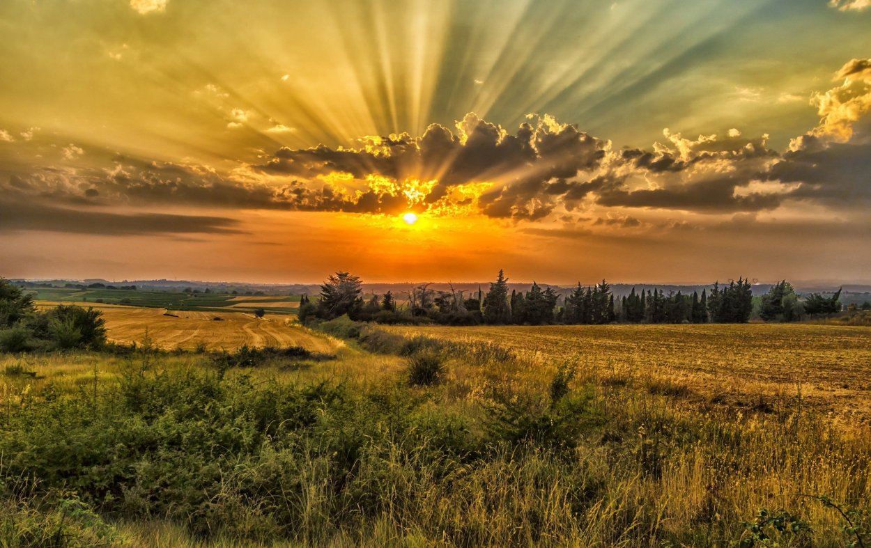 Закат в степи