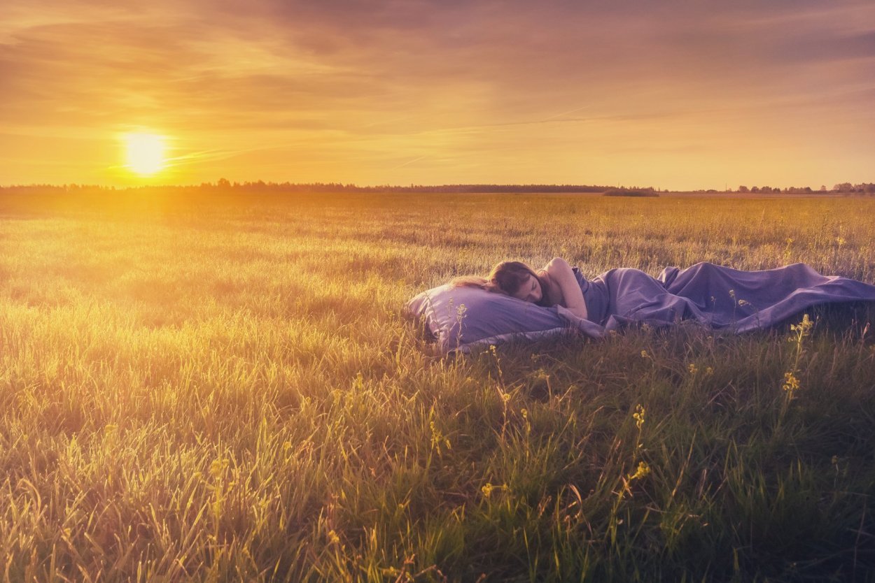 Рассвет в поле