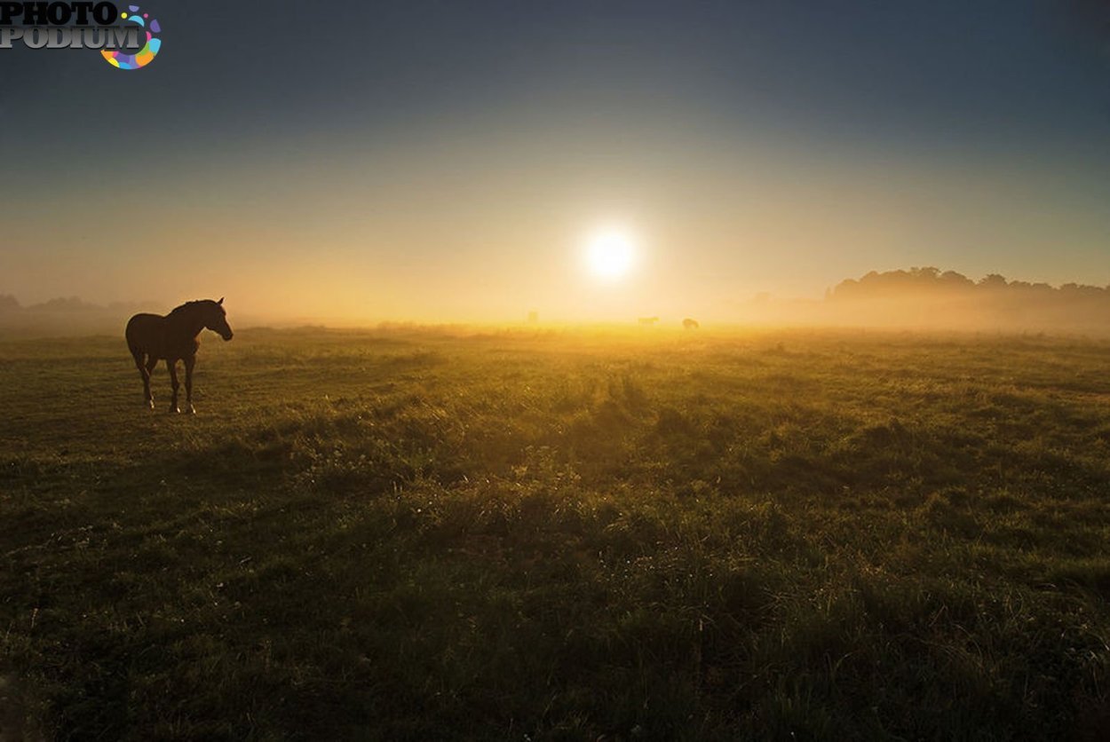Степь Эстетика