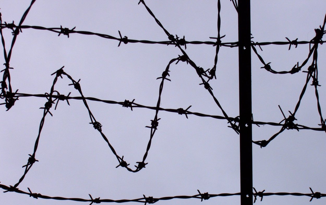 Якорцы трибулус террестрис