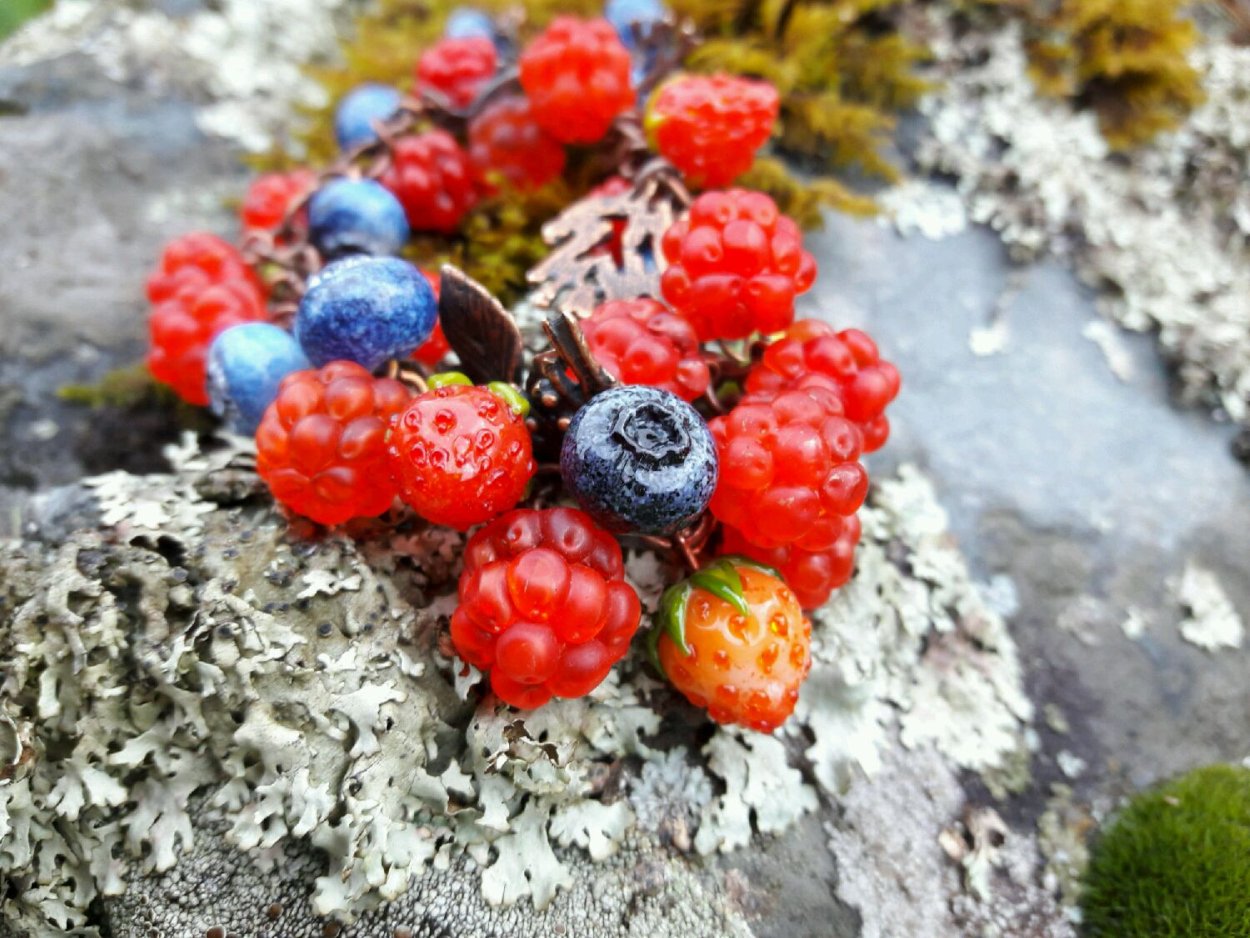 Чабака ягода Северная