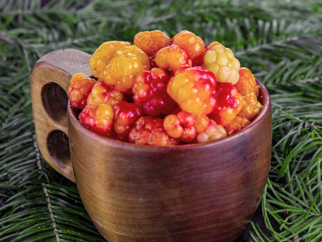 Морошка ягода ежевика